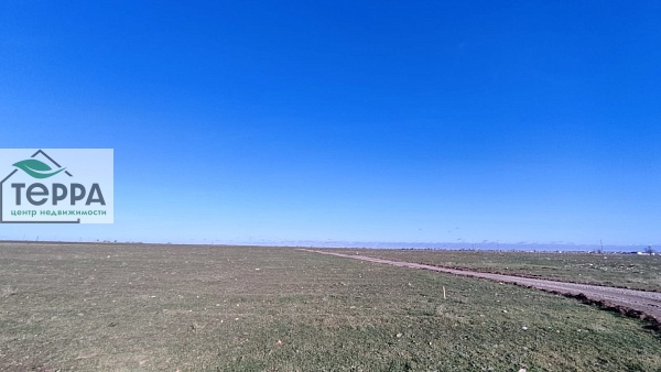 Объявление Z1149