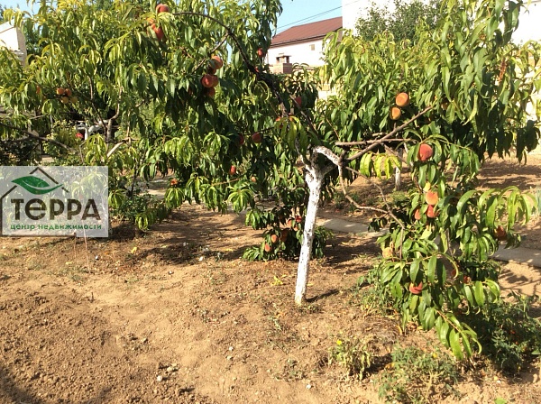 Объявление Z1162