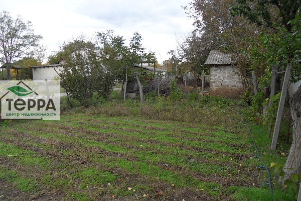 Объявление Z1779