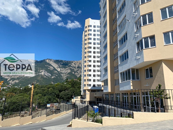 Объявление V1805