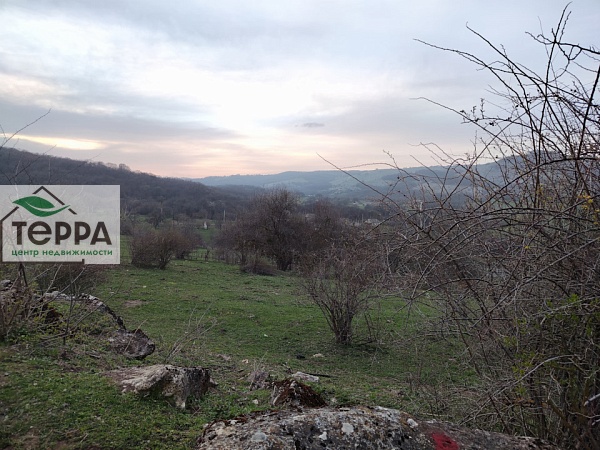 Объявление Z1805