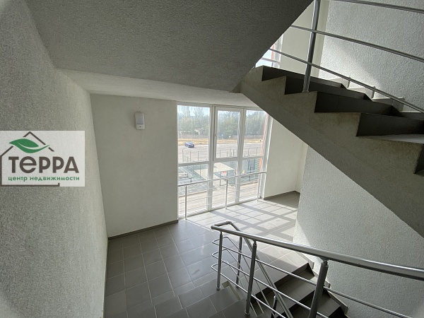 Объявление V1878