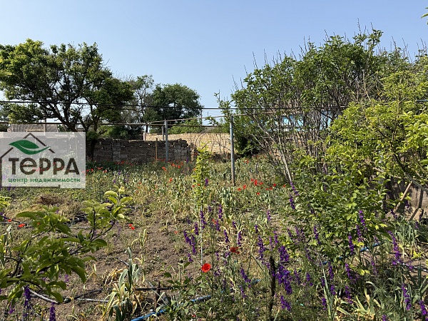 Объявление Z1603