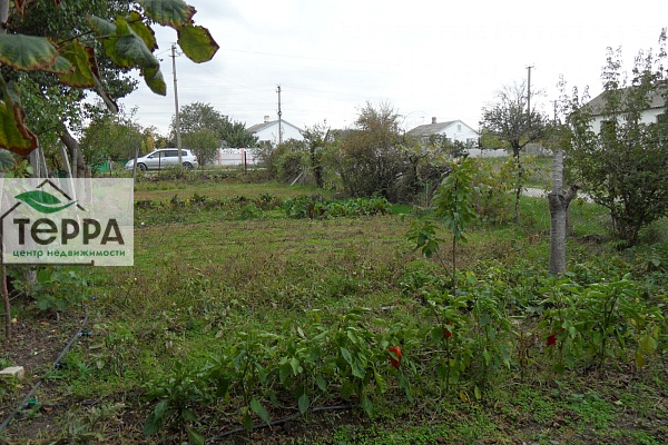 Объявление Z1779