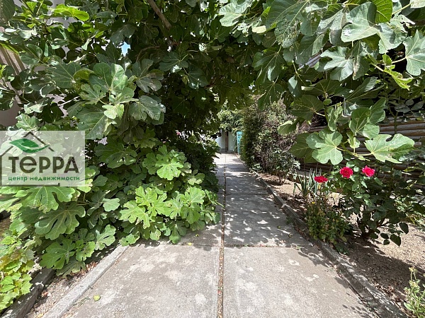 Объявление KP121