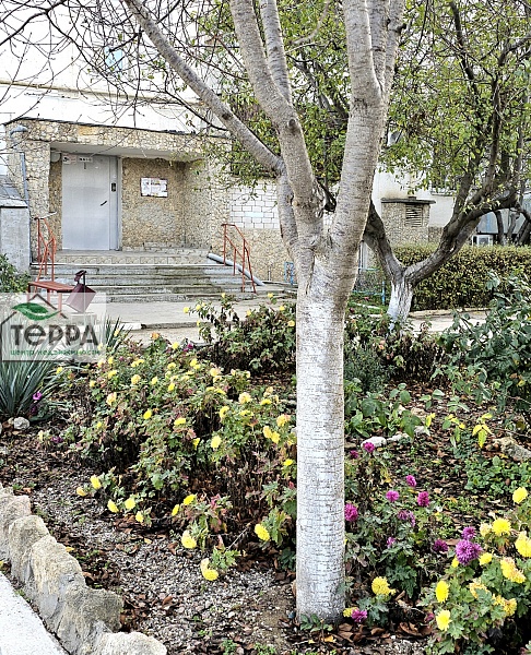 Объявление V1887