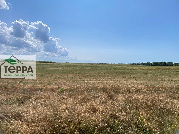 Объявление Z1591