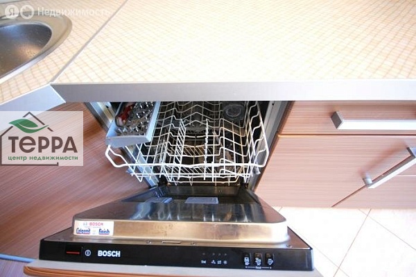 Объявление V1556