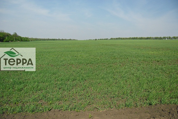 Объявление Z948