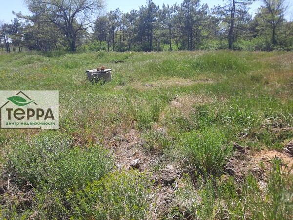 Объявление Z1560