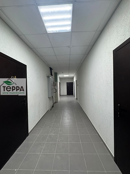 Объявление V1889