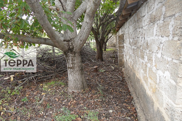 Объявление Z1779