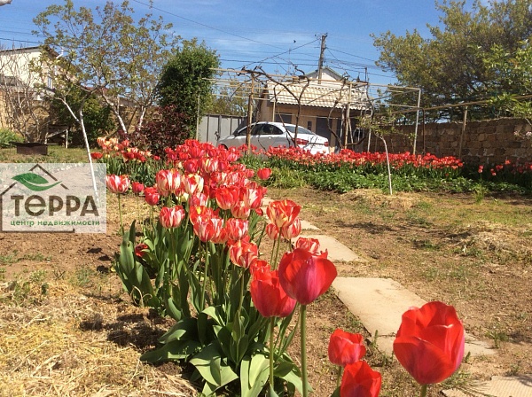 Объявление Z1162