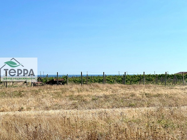 Объявление Z1725