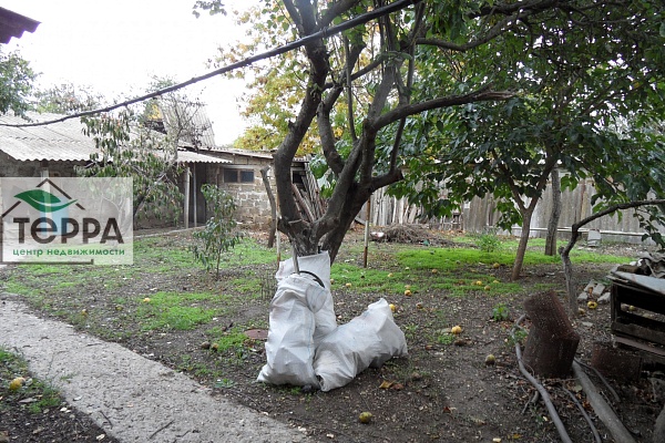 Объявление Z1779