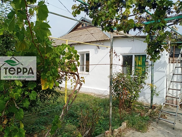 Объявление Z1604