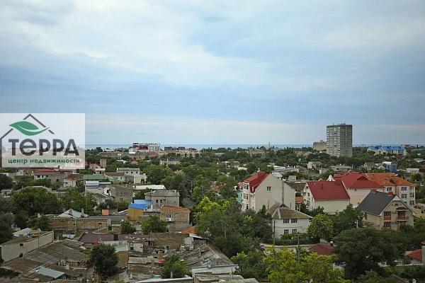 Объявление V1856