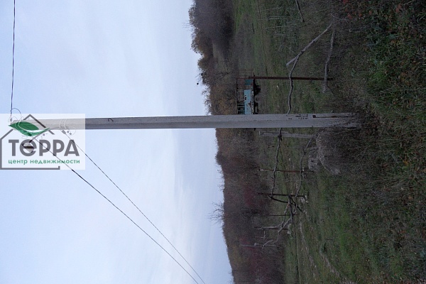 Объявление Z1805