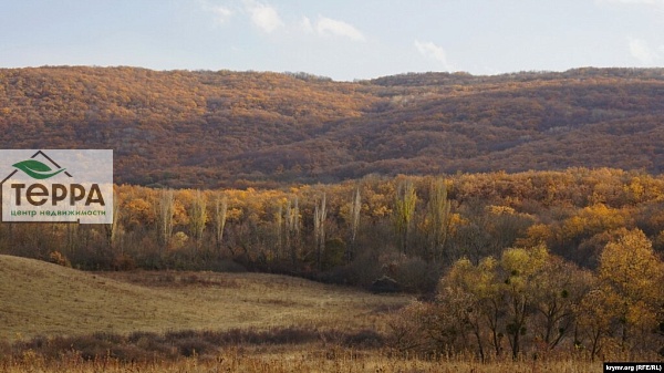 Объявление Z1805