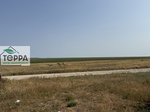 Объявление Z1603