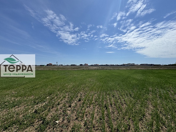 Объявление Z1589