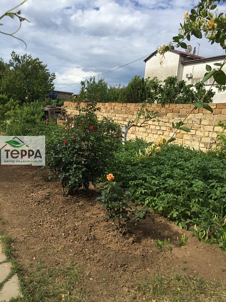 Объявление Z1162