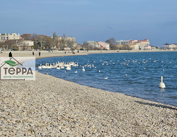 Объявление V1914