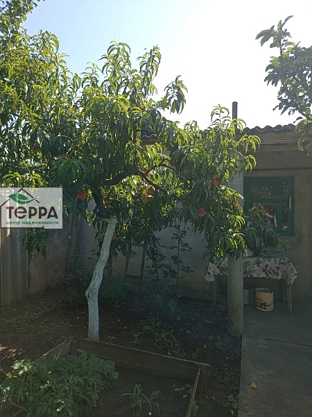 Объявление Z525