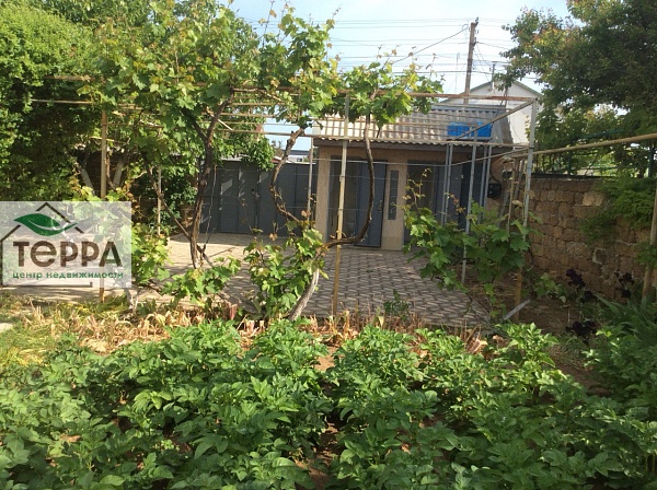 Объявление Z1162