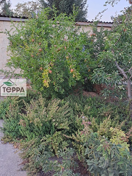 Объявление Z1708