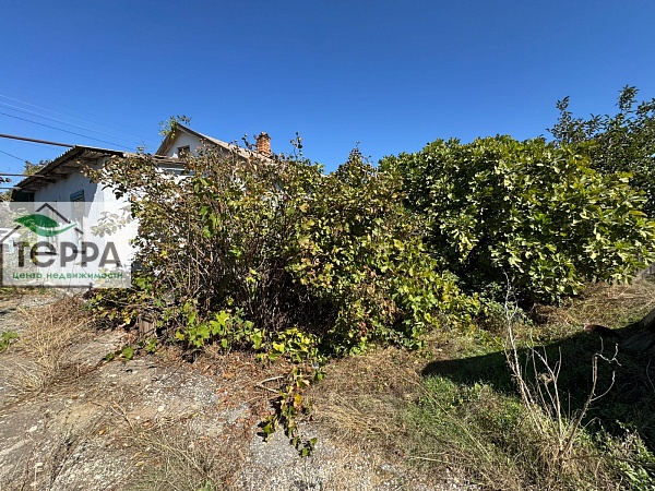 Объявление Z1755