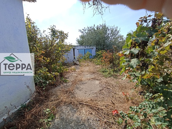 Объявление Z1755