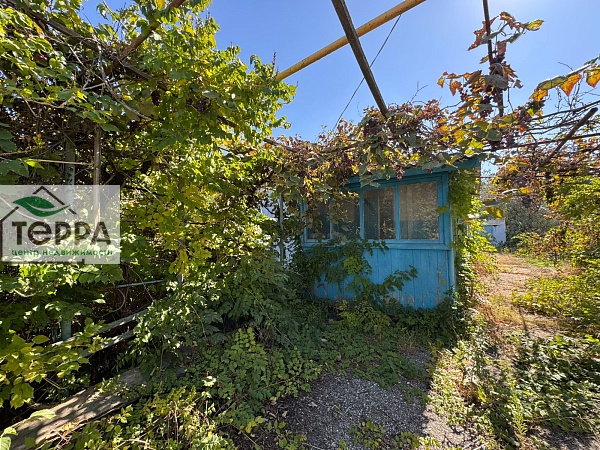 Объявление Z1755