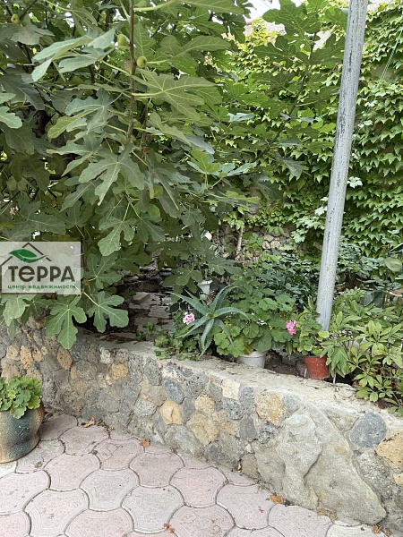 Объявление Z1764