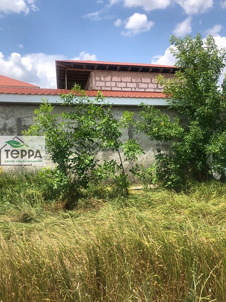 Объявление Z1778